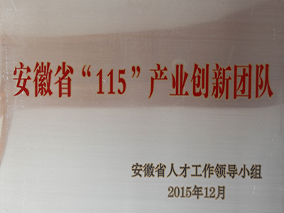 安徽省115产业创新团队